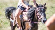 Koňské dostihy v Curraj i Epërm