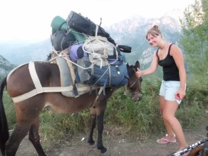 Our festival equipment being transported to the village by a mule.       