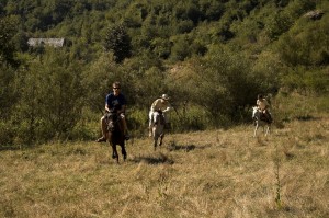 Horse races before the festival.     